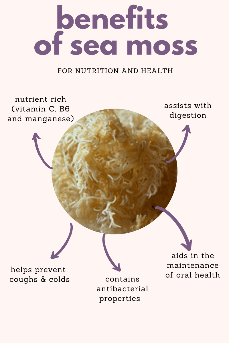 benefits of sea moss