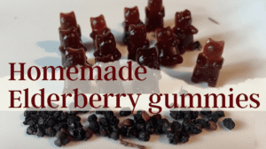 homemade elderberry gummies