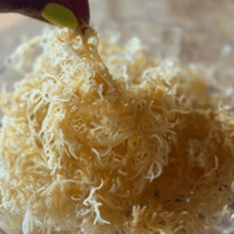 Sea moss for gut health